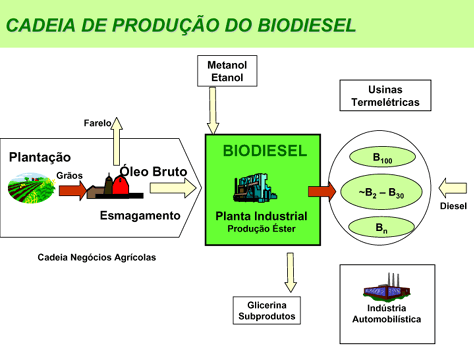 Cadeia Produtiva Biodiesel