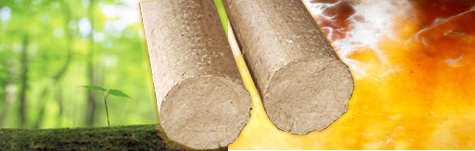 Biomassa
