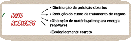 Meio Ambiente